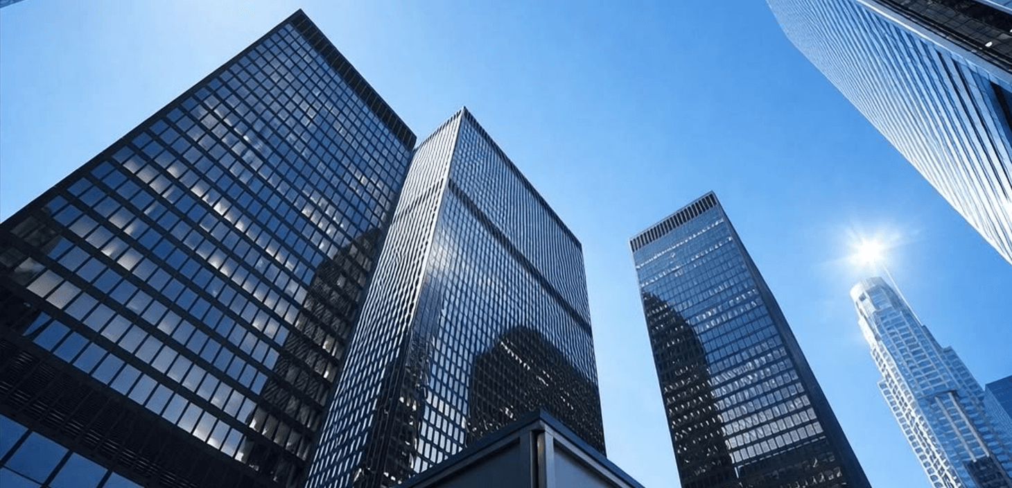 About the Company